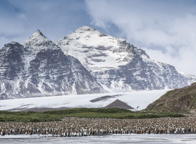 Wallpaper Antarctica, mountains, penguins, 5k, Travel 326008067
